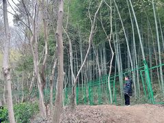 -上海佘山国家森林公园西佘山园