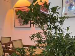 -TAOHUA夲夻咖啡馆
