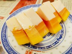 木瓜奶冻-捷信牛奶甜品世家(五道口店)