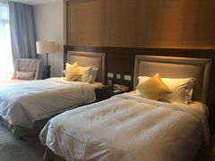 -宜春明月山维景国际温泉度假酒店