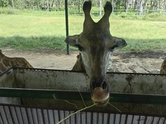 -秦皇岛野生动物园