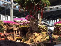 -南通洲际绿博园