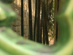-广州神农草堂中医药博物馆