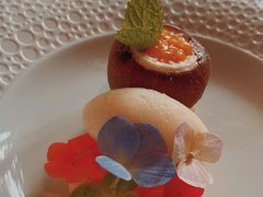 -蝶舍·MAISON PAPILLON