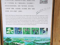 -白塔湖国家湿地公园