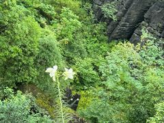 -梭布垭石林景区