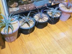-Rabbit Cafe私房西餐甜点咖啡(栖霞路店)