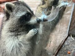 -杭州野生动物世界
