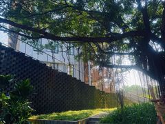 -美的鹭湖探索王国