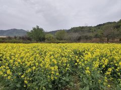 -石塘人家