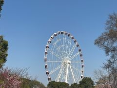 -自然谷恐龙园