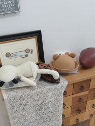 -星豆豆儿童摄影(南郊太白南路店)