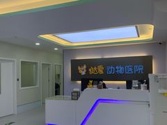 -达爱动物医院·犬猫分区·CT·复杂眼科(远洋山水分院)