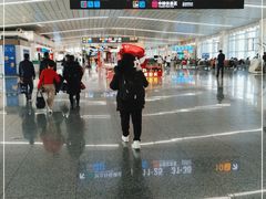 -石家庄正定国际机场-T2航站楼