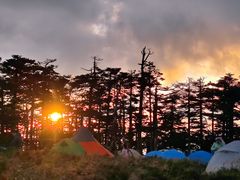-秦岭风景区