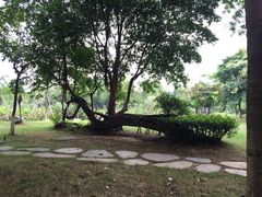 -佛山祈福仙湖酒店