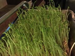 -老表记广西宵夜螺蛳鸭脚煲(西大店)