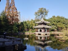 -水绘园
