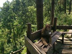 -重庆雨台山风景区