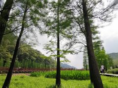 -广州市石门国家森林公园