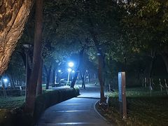 -元大都城垣遗址公园