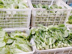 -西郊国际农产品交易中心