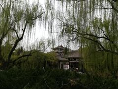 -西安青龙寺遗址景区