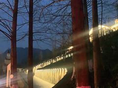 -四川省成都市彭州市白鹿镇