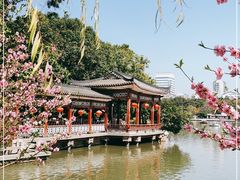 -西湖公园(鼓楼区)