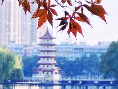 -宝岛公园