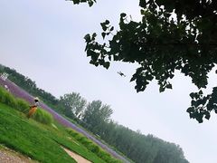 -北京东方普罗旺斯薰衣草庄园