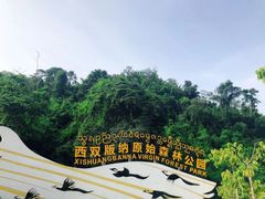 -西双版纳原始森林公园