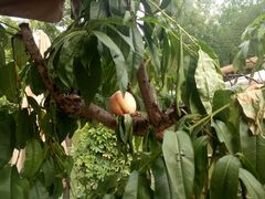 -茅庐·川粤精品私房菜(金沙遗址店)