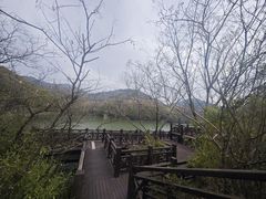 -白马涧龙池景区