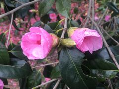 -溪口-滕头旅游景区