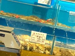 -金太阳海鲜烧烤·本地人餐厅(东纬路旗舰店)