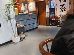 -树厨地道黔菜(清镇职教城店)