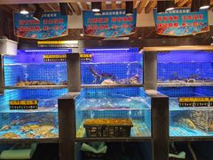 水产区-大鹏饭店·金陵家宴(奥体中心店)