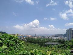 -东部华侨城
