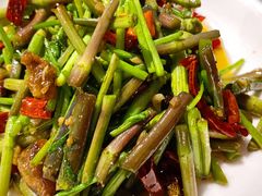 水芹菜-不炭白烧烤(成都首店)