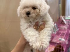 -南宁国际会展中心