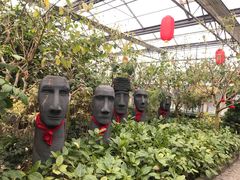 景点-南宫五洲植物乐园