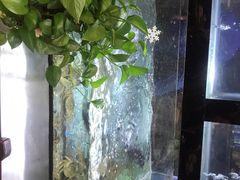 -楠翔馆桐庐菜(胜利河美食街店)