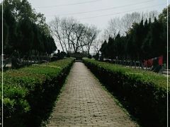 -邓愈墓
