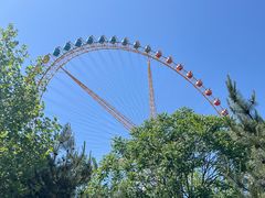 -辛玛王国游乐园