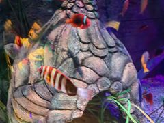 -沈阳海洋探索中心