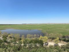 -南大港湿地风景区