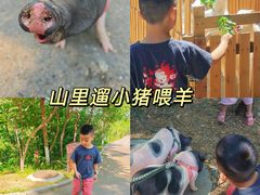 -欢乐松鼠谷
