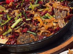 -老板恋上鱼(恒隆广场店)