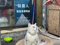 -梁掌门老梁干挑(凤凰路店)